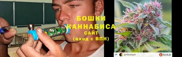 дмт Нея