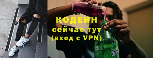 дмт Нея