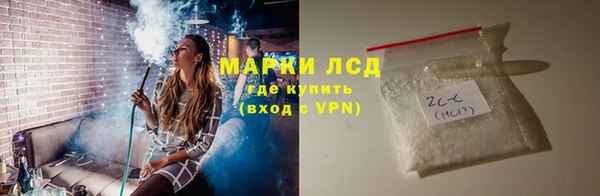дмт Нея