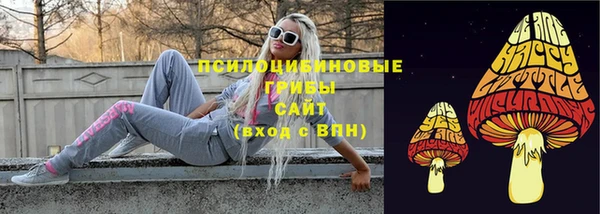 альфа пвп Ахтубинск