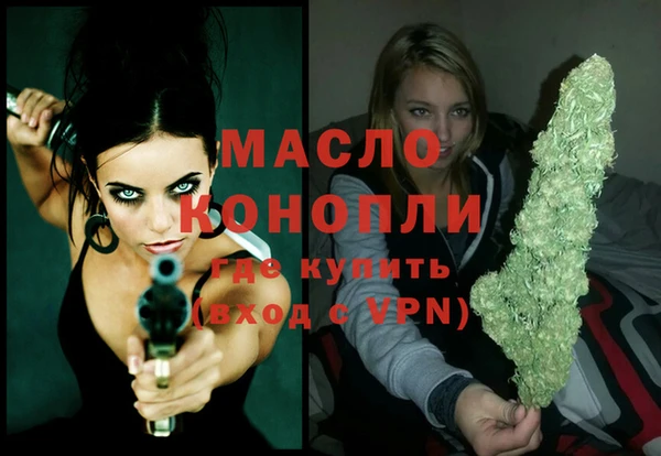 дмт Нея